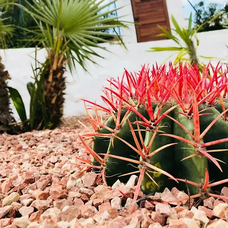 Casa Charme Boutique 'adults Only' Jávea